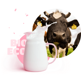 milk with cow